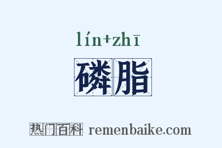 磷脂是什么意思的图片